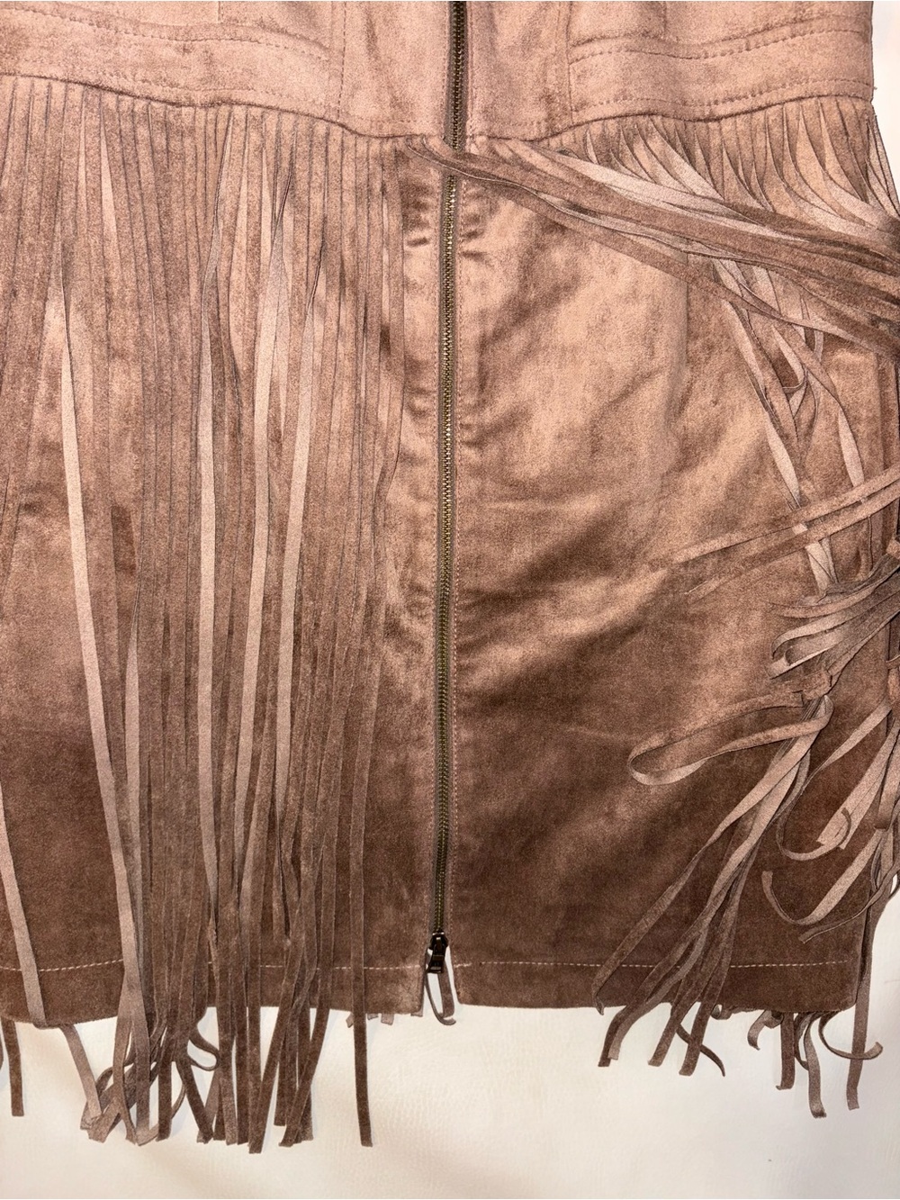 BCBGMaxAzria Taupe Fringe Suede Mini Dress - Picture 6 of 9